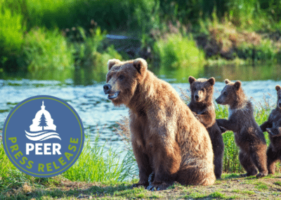 Feds Subsidizing Slaughter of Wild Predators