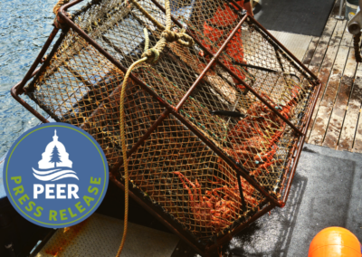 NOAA Ducks Responsibility in Alaska King Crab Collapse