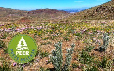 BLM Conservation Rule Not Ready for Prime Time