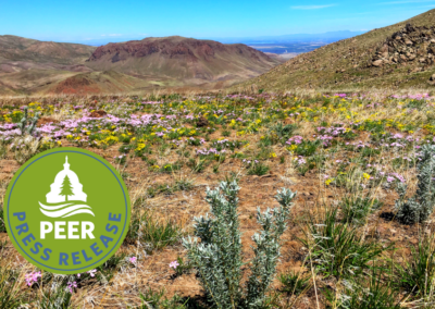 BLM Conservation Rule Not Ready for Prime Time