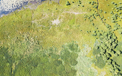 COMMENTARY | Managing Rangelands From Outer Space