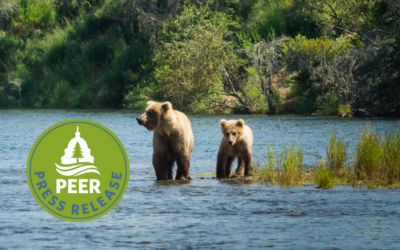 Do Bears Get Shot in the Woods?