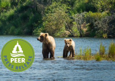 Do Bears Get Shot in the Woods?