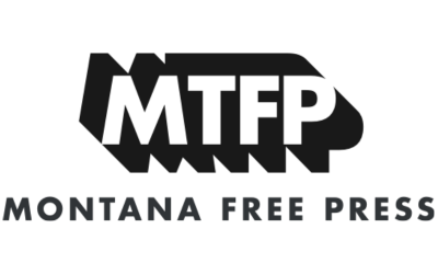 City Council delays vote on baseball field turf decision