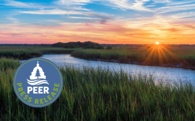 Florida’s Environment Spirals Downward Under DeSantis