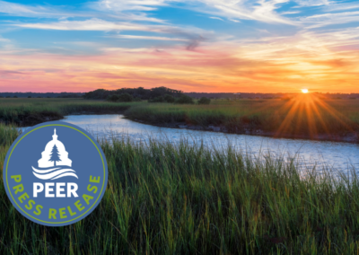 Florida’s Environment Spirals Downward Under DeSantis