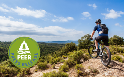 Groups Urge Interior to Do Its Homework on E-bikes