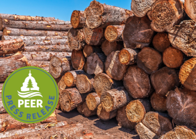 Feds Withhold Minnesota Grant Due to Overlogging