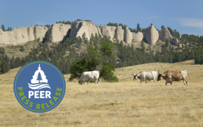 BLM Data Measuring Rangeland Health Not Available