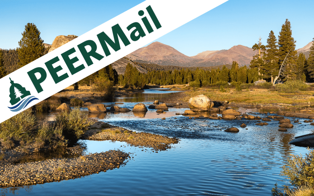 PEERMail | Investing in the Earth