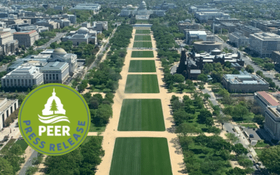 Federal Agencies Still Shelling Out Millions in Paid Leave