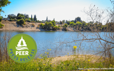 Water Board Still in Dark About Santa Susana Discharges