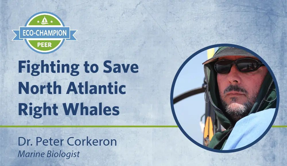 Dr. Peter Corkeron: Fighting to Save the North Atlantic Right Whales