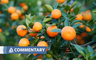 Op-Ed | Why is EPA Considering Lethal Pesticides for Florida Citrus?