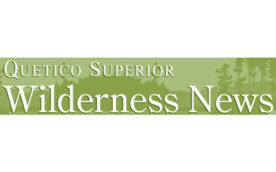 Federal officials criticize MN DNR for logging habitat areas