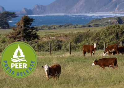 Point Reyes Sweetheart Cattle Leases are Illegal