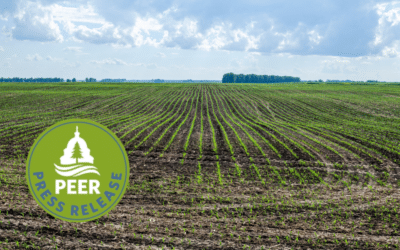 Remove Forever Chemicals from Biosolid Fertilizers