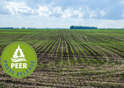 Remove Forever Chemicals from Biosolid Fertilizers