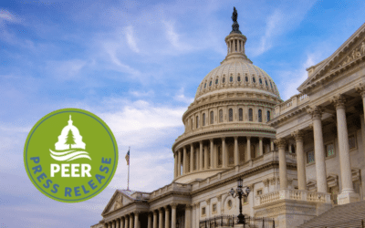 Federal Whistleblower Claims Fall by Almost Half