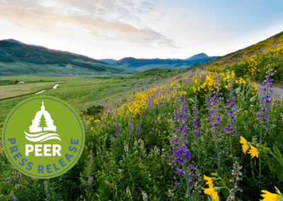 Lack of Seeds and Botanists Crimp National Seed Strategy