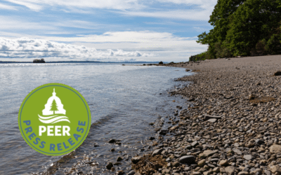 Maine Poised to Repeat Eco-Mistakes on Sears Island