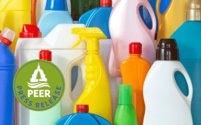 Flawed Fifth Circuit Decision Leaves Public Exposed to Toxic PFAS