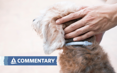 COMMENTARY | EPA’s Seresto Decision is Harmful to Your Pet