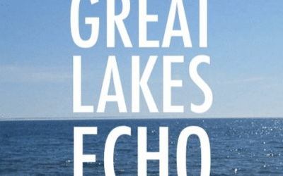 How to be a responsible watchdog