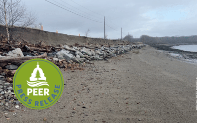 Maine’s Sears Island Causeway Permit Probed