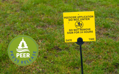 LAUSD Faces Federal, State, & County Pesticide Violations