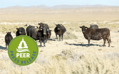 BLM Veteran Decries Diminishing Range Protection