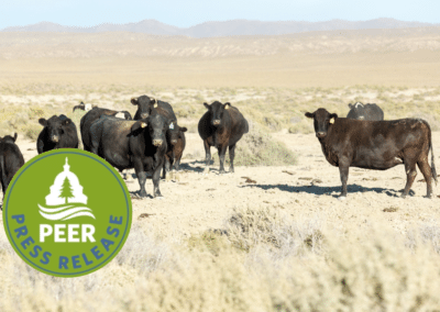 BLM Veteran Decries Diminishing Range Protection