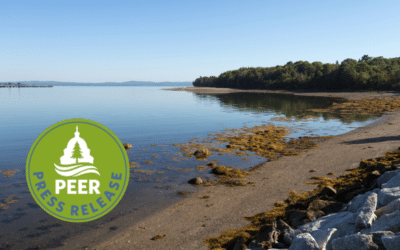 Maine Concealing Protected Vernal Pools on Sears Island