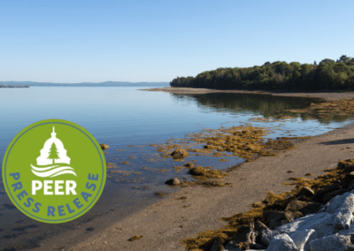 Maine Concealing Protected Vernal Pools on Sears Island