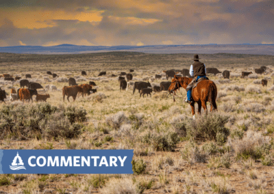 COMMENTARY | America’s Ailing Overgrazed Rangelands