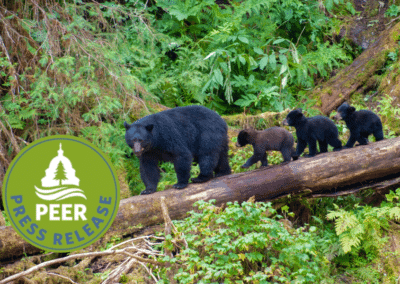 Barbaric Hunting Practices on Alaska Preserves Okayed