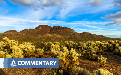 COMMENTARY | BLM Unclear on Transparency