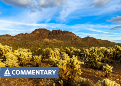 COMMENTARY | BLM Unclear on Transparency