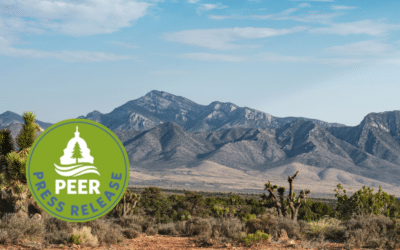 Conservation Groups Request Protection from Solar Energy Sprawl in Pahrump Valley, Nevada