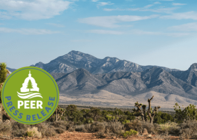 Conservation Groups Request Protection from Solar Energy Sprawl in Pahrump Valley, Nevada