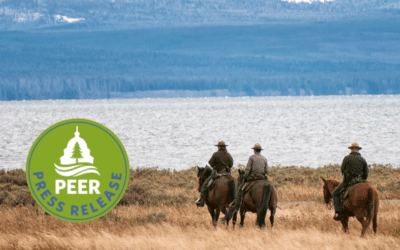 National Park Ranger Ranks Shrink to Generational Low