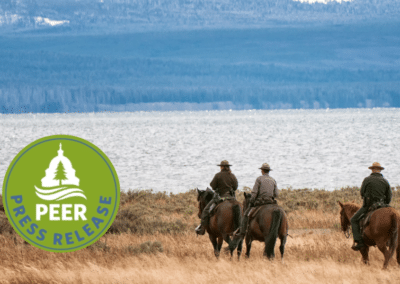 National Park Ranger Ranks Shrink to Generational Low