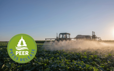 New Study Finds Alarming Rise in Persistent ‘Forever Chemicals’ in Pesticides