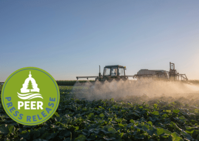 New Study Finds Alarming Rise in Persistent ‘Forever Chemicals’ in Pesticides