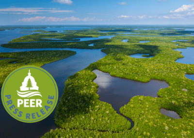 Florida Eco-Enforcement Slides from Already Low Perch