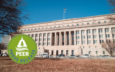 Interior’s Stealth Scientific Integrity Policy Slithers Out