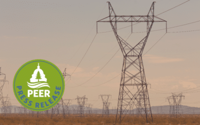 New Transmission Line Ensures Destructive Energy Development on Great Basin’s Public Lands