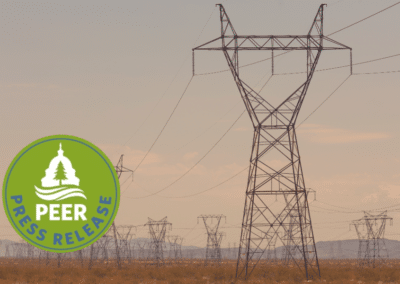 New Transmission Line Ensures Destructive Energy Development on Great Basin’s Public Lands