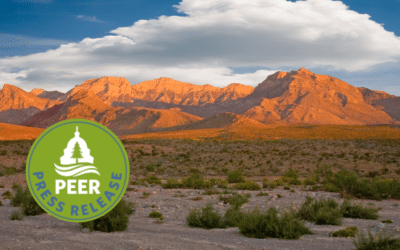 Conservationists File Protest Against Plan for Massive Solar Development on Public Lands, Citing Neglect of the Old Spanish National Historic Trail