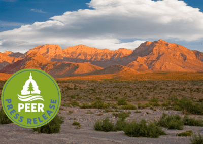 Conservationists File Protest Against Plan for Massive Solar Development on Public Lands, Citing Neglect of the Old Spanish National Historic Trail